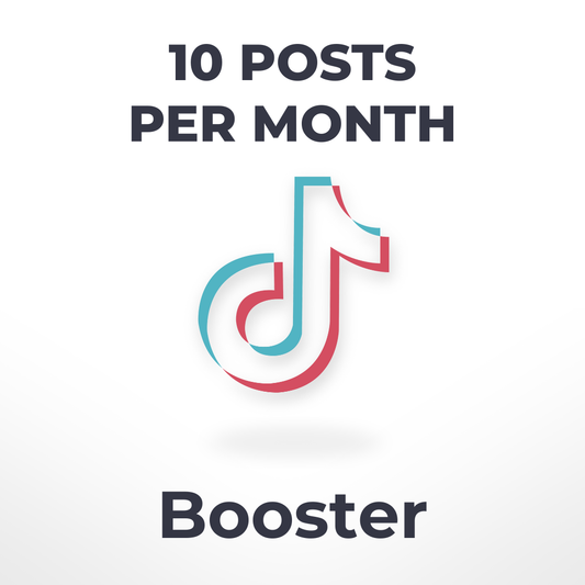 TikTok Influencer Booster | 10 Posts Per Month