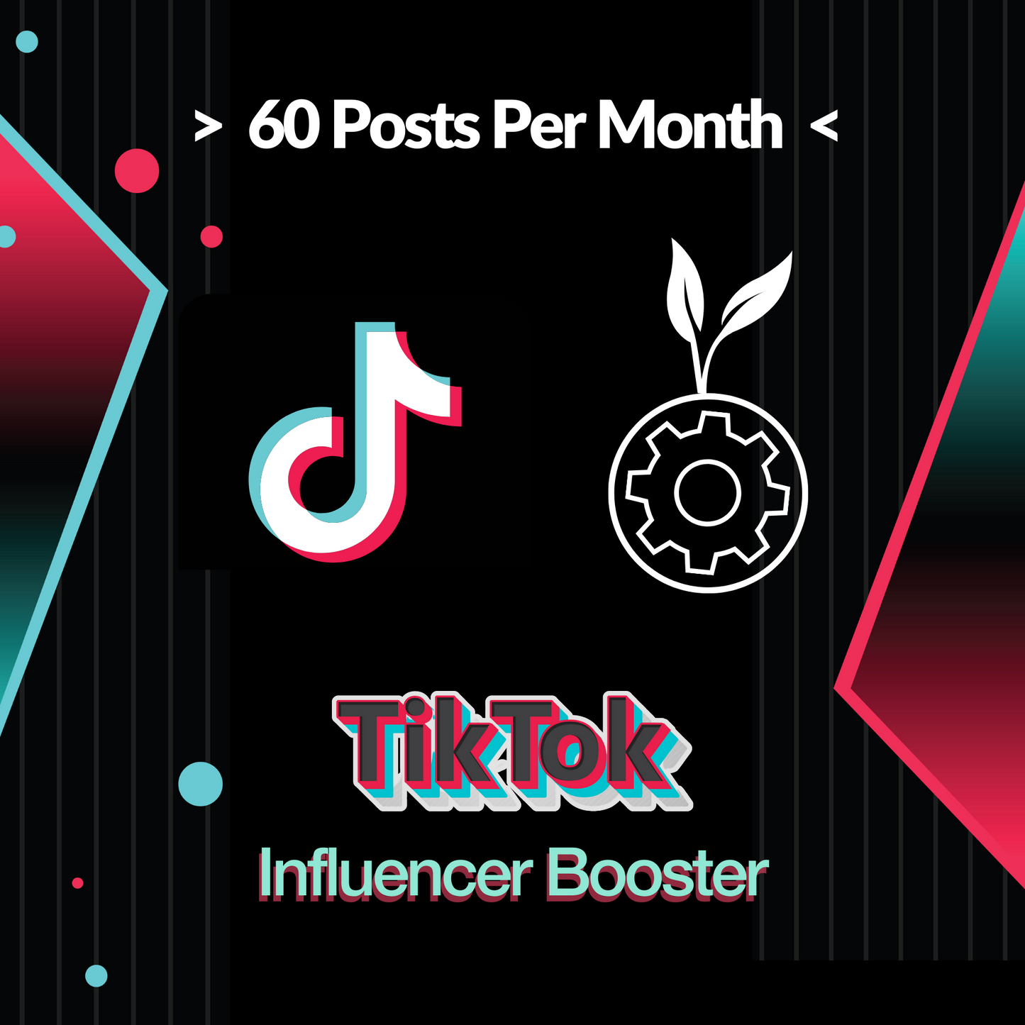 TikTok Influencer Booster | 60 Posts Per Month