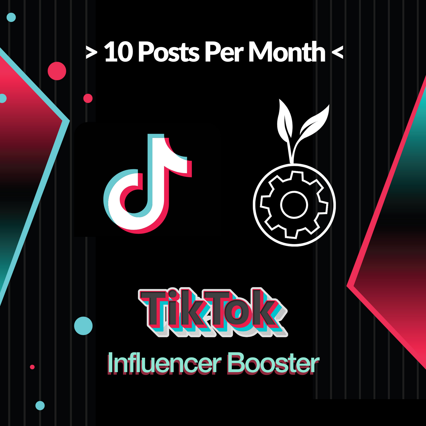 TikTok Influencer Booster | 10 Posts Per Month