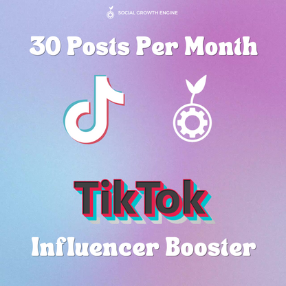 TikTok Influencer Booster | 30 Posts Per Month